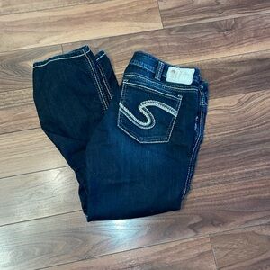 Silver Size 33 Frances Capri